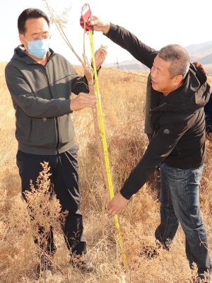 赤峰收購中藥材電話地址-第1張圖片