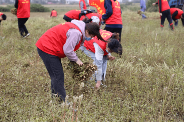 赤峰紅山區(qū)助農(nóng)辦電話號(hào)碼-第1張圖片