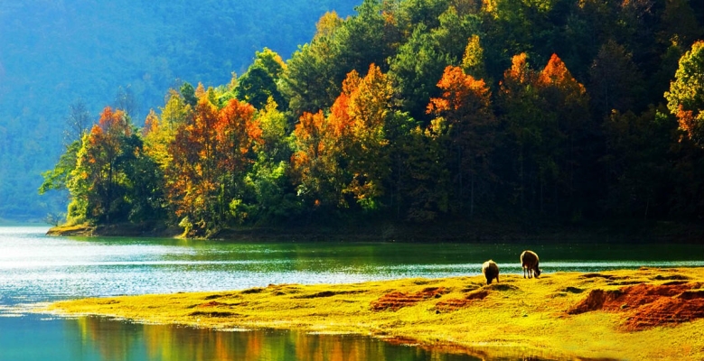 赤峰柳條溝彩椒廠電話號(hào)碼-第1張圖片