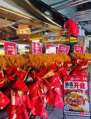 赤峰哪里收購大鵝-第1張圖片