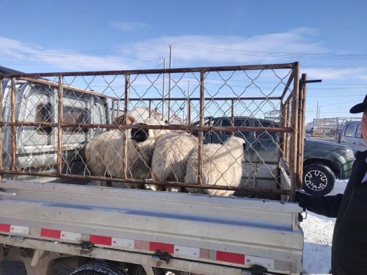 東烏旗到赤峰的電話-第1張圖片