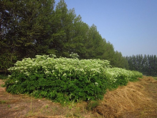 赤峰市木頭溝鄉(xiāng)電話號(hào)碼-第1張圖片