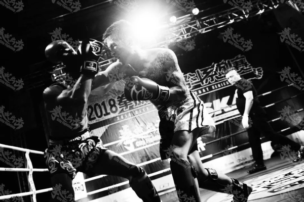 赤峰自由人搏擊俱樂部電話號(hào)碼-第1張圖片