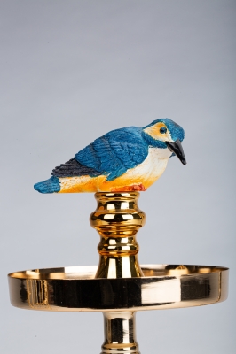 赤峰新城賣(mài)鳥(niǎo)籠的店鋪電話(huà)號(hào)碼-第1張圖片