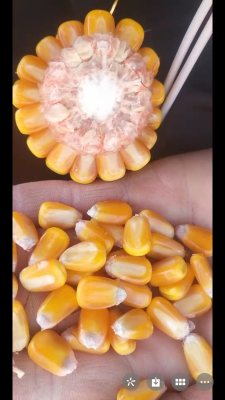 赤峰甜玉米招商電話號碼查詢-第1張圖片