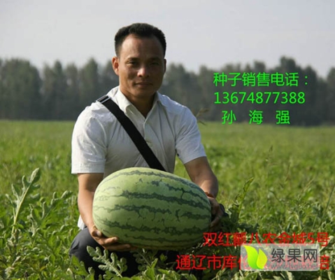 赤峰大棚搭建施工隊電話號碼-第1張圖片