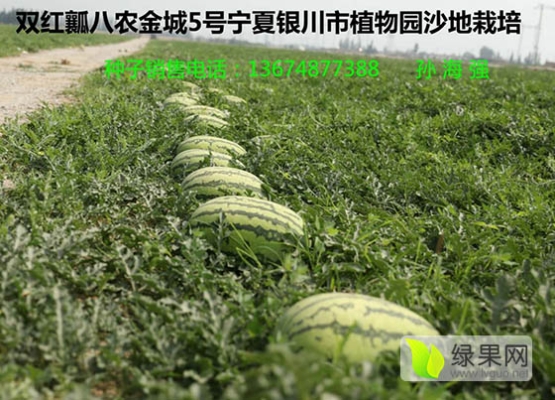 赤峰種植大棚管理處電話號(hào)碼-第1張圖片