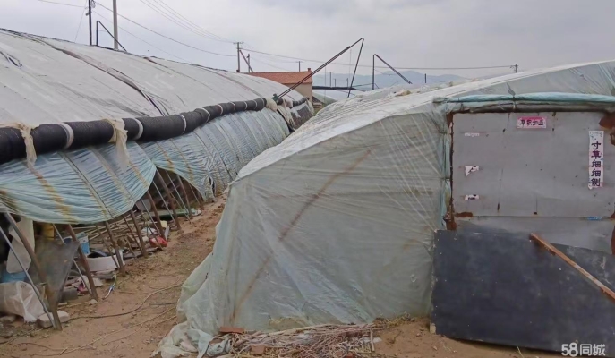 赤峰市租賃大棚電話地址查詢-第1張圖片