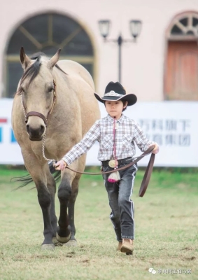 赤峰樂馭馬術(shù)館電話地址查詢-第1張圖片