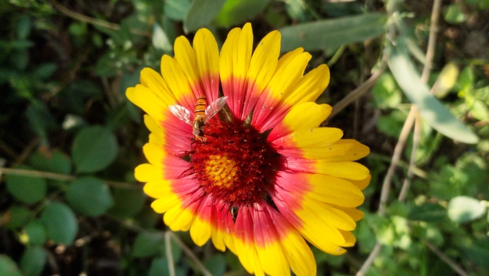 赤峰玫瑰坊霞姐酒店電話號(hào)碼-第1張圖片
