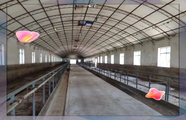 赤峰大棚式牛棚廠家電話多少-第1張圖片