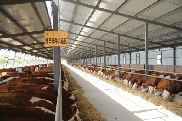 赤峰球型注漿料廠電話號碼-第1張圖片