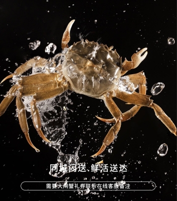 赤峰同城賣螃蟹電話號碼多少-第1張圖片