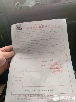 赤峰屠宰羊肉批發(fā)電話號(hào)碼-第1張圖片