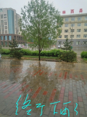 赤峰市林西防疫政策電話是多少-第1張圖片