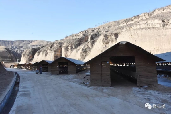 赤峰水貂養(yǎng)殖廠家電話號(hào)碼-第1張圖片