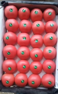 赤峰大城子市場電話多少號-第1張圖片