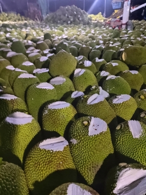 赤峰菠蘿蜜團購電話號碼-第1張圖片