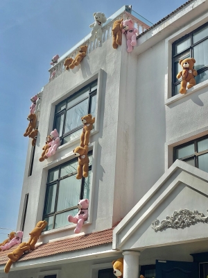 赤峰加油小熊電話多少號碼-第1張圖片