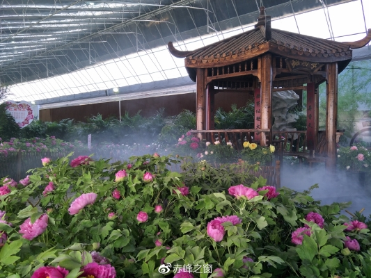 赤峰大雙廟月餅店電話號碼-第1張圖片