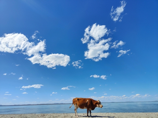 赤峰名豪裝飾怎么樣-第1張圖片