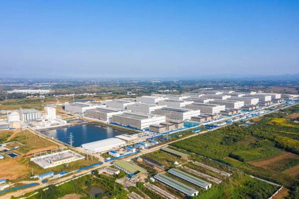 中糧赤峰養(yǎng)豬公司-第1張圖片