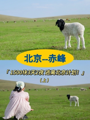 赤峰電摩租賃電話地址在哪里-第1張圖片