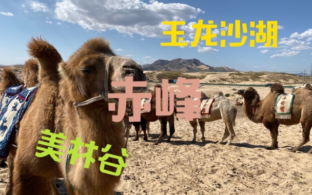 赤峰美林谷娛樂中心電話號碼-第1張圖片