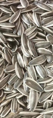 赤峰哆米酸奶紅山店電話號碼-第1張圖片