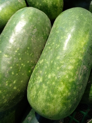 赤峰綠苑水果超市電話號碼-第1張圖片