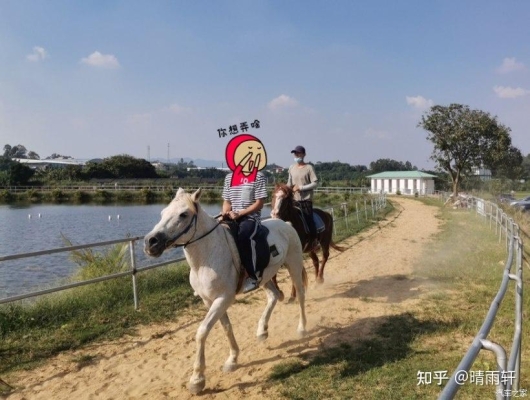 雨軒農(nóng)莊電話-第1張圖片