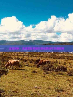 赤峰機(jī)場轉(zhuǎn)機(jī)政策查詢電話號碼-第1張圖片