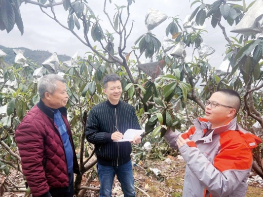 赤峰分揀工廠電話號碼多少號-第1張圖片