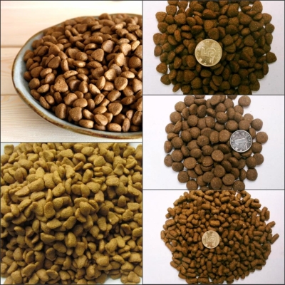 赤峰加工狗糧廠家地址電話號(hào)碼-第1張圖片