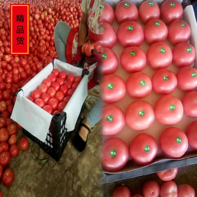 赤峰大棚農(nóng)資經(jīng)銷處電話號(hào)碼-第1張圖片