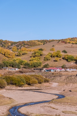 赤峰出售樹林電話號碼多少號-第1張圖片