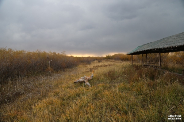 赤峰戶外驢友群電話地址查詢-第1張圖片