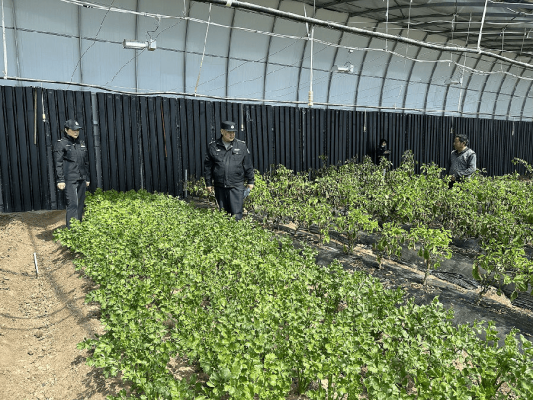 赤峰社區(qū)閑置群電話號碼是多少-第1張圖片