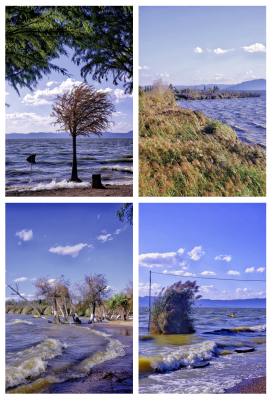 赤峰附近能撈魚的地方-第1張圖片