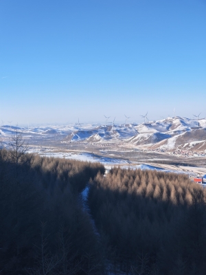 赤峰嶺上村李大夫電話號碼-第1張圖片