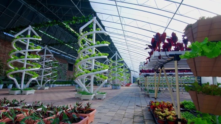 赤峰敖揚(yáng)農(nóng)業(yè)聯(lián)系電話號(hào)碼-第1張圖片