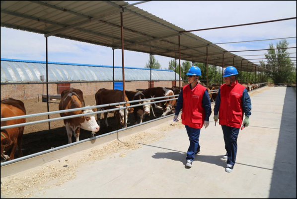 赤峰市電業(yè)局電話(huà)號(hào)碼-第1張圖片