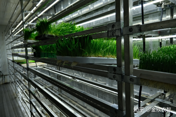 赤峰水培牧草工廠地址電話號碼-第1張圖片