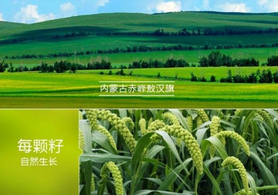 赤峰旺盛糧油店電話號碼查詢-第1張圖片