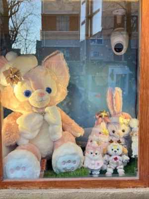 赤峰毛絨事務(wù)所地址電話號(hào)碼-第1張圖片