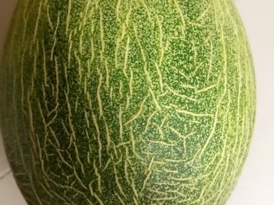 赤峰天天水果超市電話號碼-第1張圖片