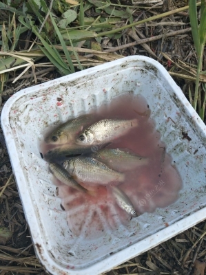 赤峰野釣俱樂(lè)部電話多少號(hào)-第1張圖片