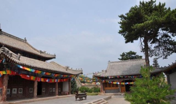 虎茅回收赤峰電話號(hào)碼多少-第1張圖片