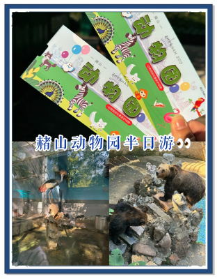 赤峰動(dòng)物園拍照地點(diǎn)電話號(hào)碼-第1張圖片