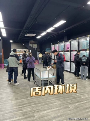 赤峰寵物店聯(lián)系方式-第1張圖片